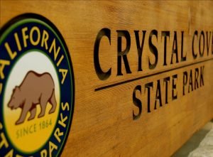 Moro Campground (Laguna Beach, California) photo