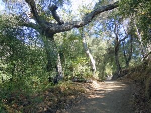 Moro Campground (Laguna Beach, California) photo