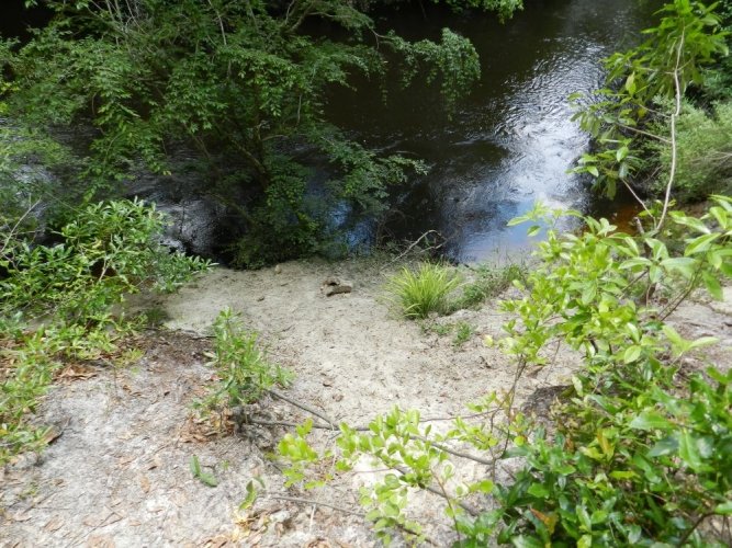 Walsingham Camp Site