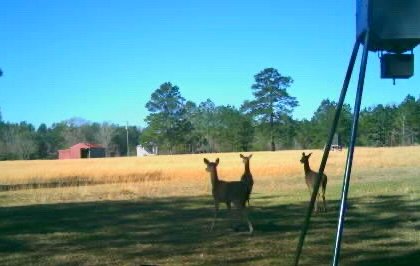 Cashrock Farm and RV