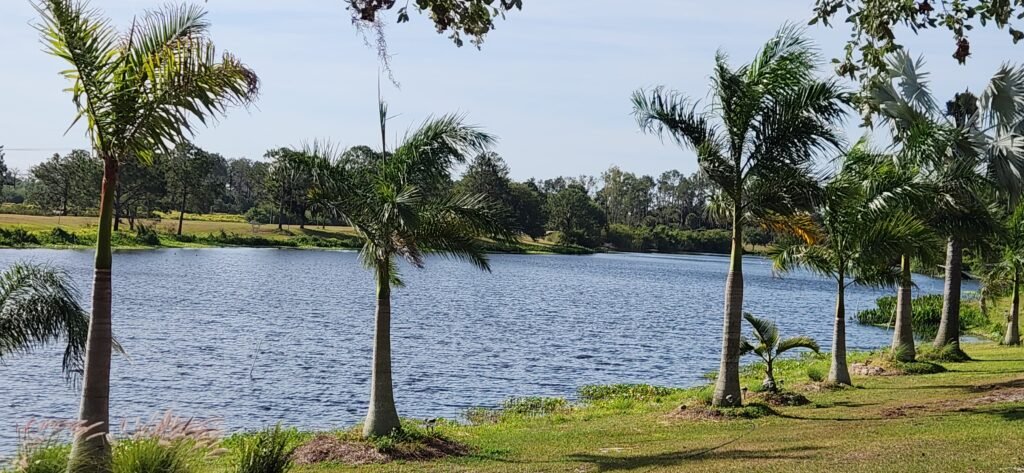 Legacy Lake RV Resort (Mulberry, Florida) photo