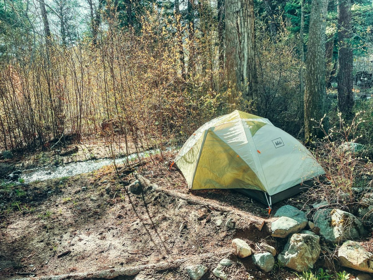 Jammin Jackalope Camping