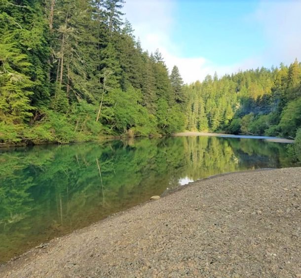 Gualala River Redwood Park