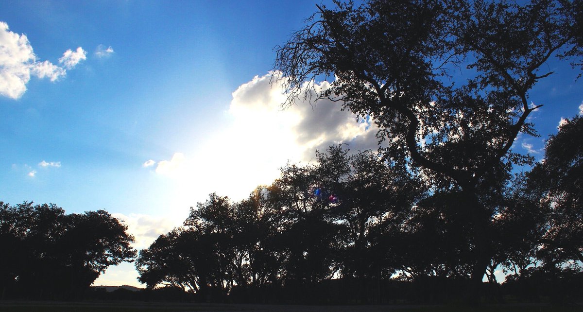 Utopia Oaks RV Park and Camping (Utopia, Texas) photo