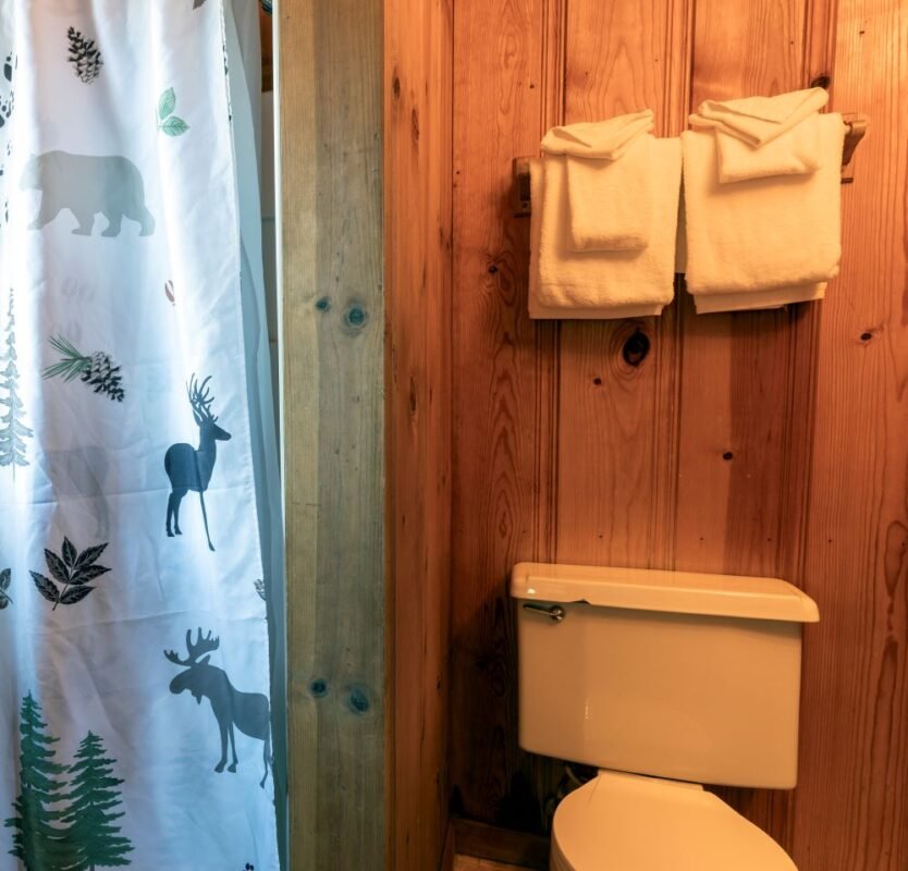 Camp Richardson Campground (South Lake Tahoe, California) photo