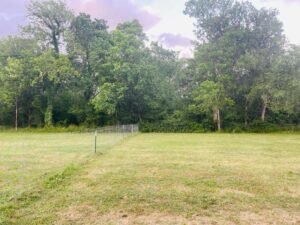 Sugar Land RV Park (Sugar Land, Texas) photo