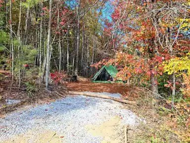 Honeysuckle Springs (Cosby, Tennessee) photo