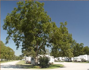 Shiloh RV Park (Richmond, Texas) photo