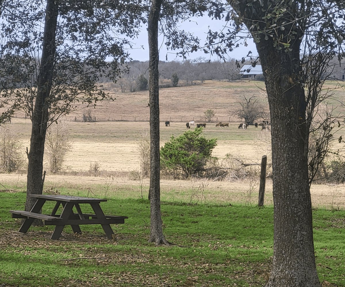 Birthplace of Texas RV Park (Brenham, Texas) photo