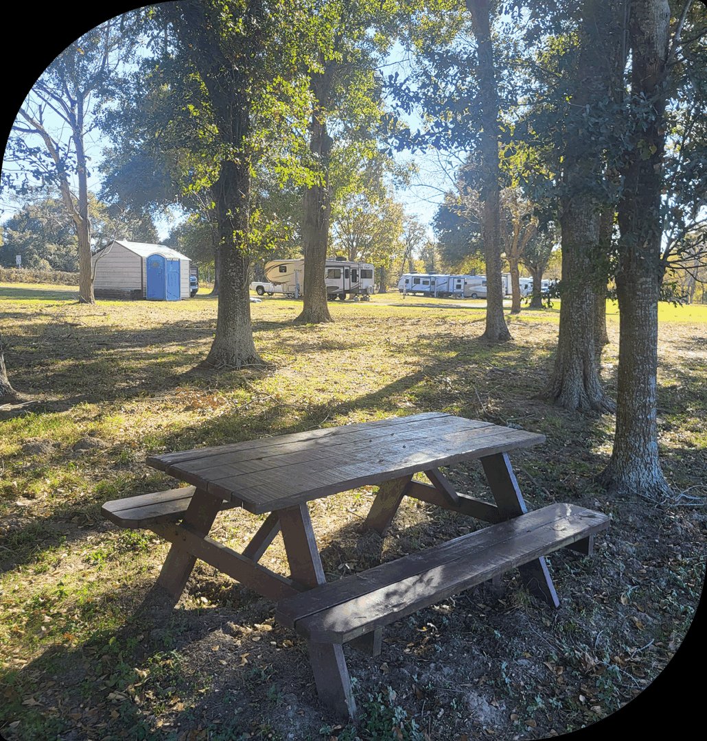 Birthplace of Texas RV Park (Brenham, Texas) photo