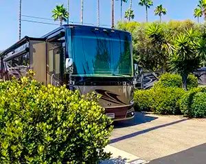 San Diego RV Resort (La Mesa, California) photo