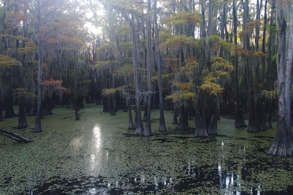 Buffalo Bayou RV Park