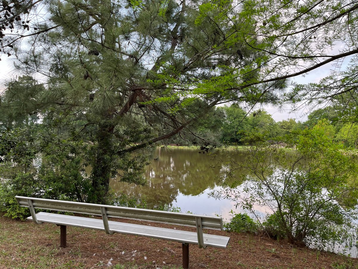 Kozy Lakes RV Park (Jewett, Texas) photo