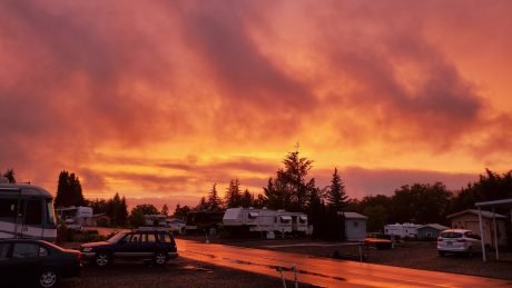 Timber Valley SKP Park