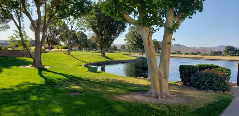 Silver Lakes Private RV Park (Helendale, California) photo