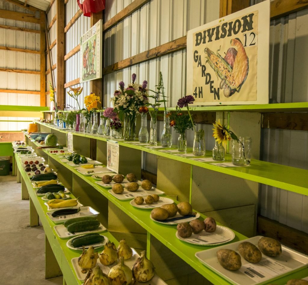 Boehner Pond Campground