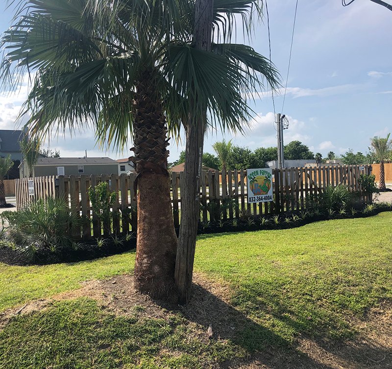 Green Parrot RV Park (San Leon, Texas) photo