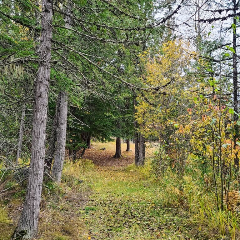 Lakeview RV Retreat & Motorcycle Campground