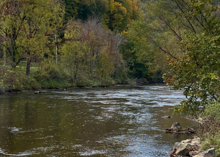 Speckled Trout River Club and RV Park