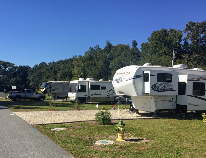 Southern Oaks RV Resort (Summerfield, Florida) photo