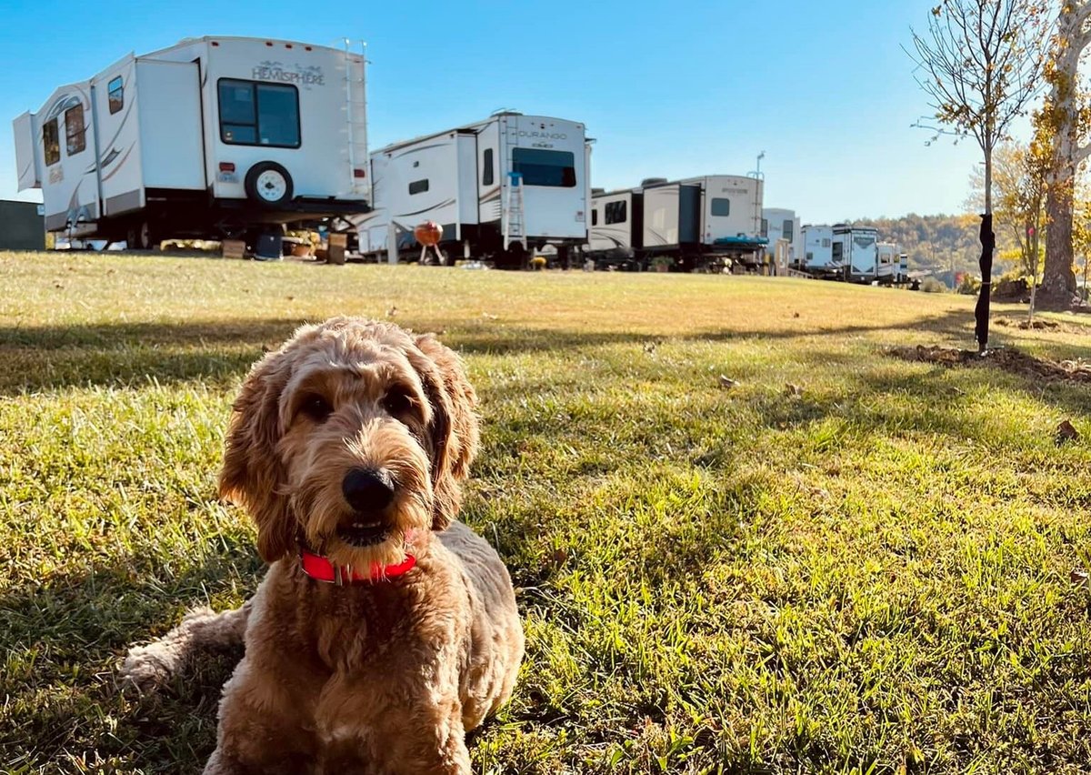 Sunset Haven Riverfront Campground
