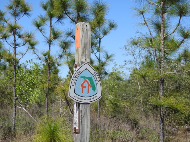 Lafayette Hike In Campsite West
