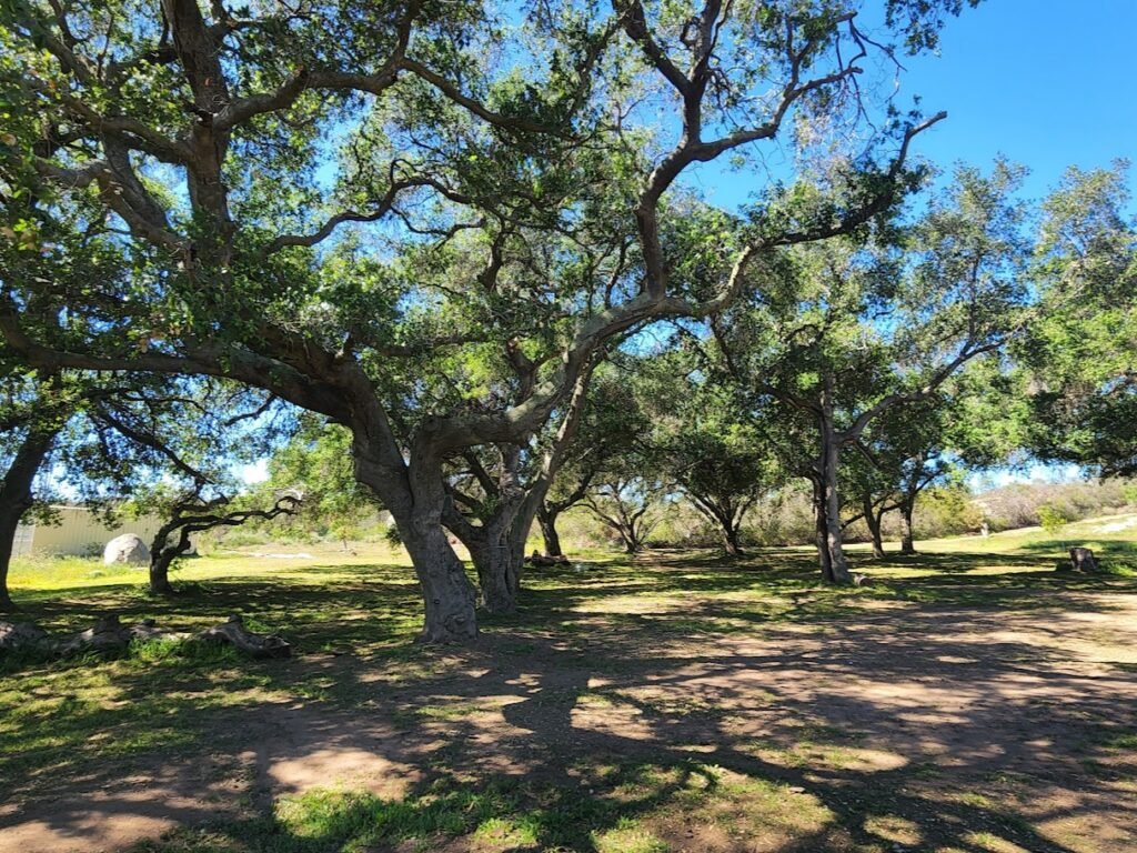 Splitrock Valley at Splitrock Farm