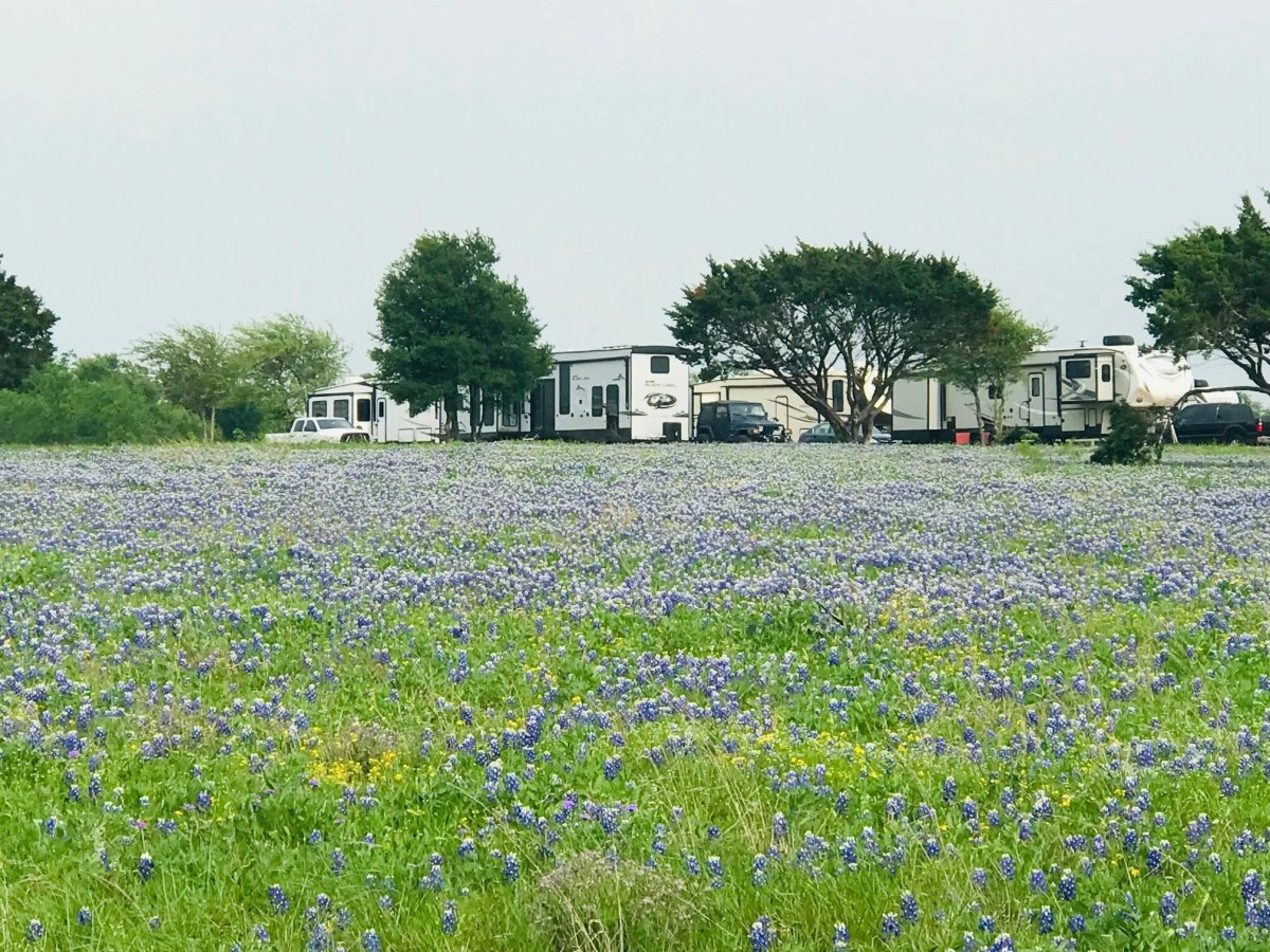 Shining Star RV Park (Gatesville, Texas) photo
