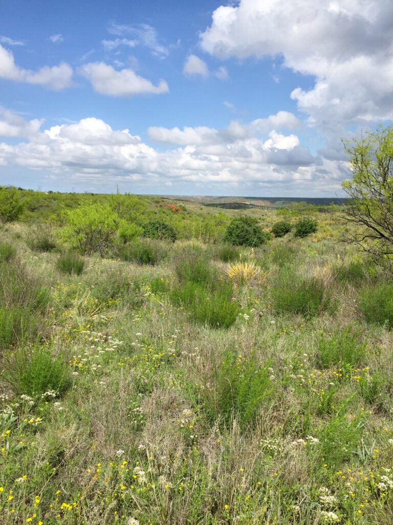 Mesquite Hills RV Park