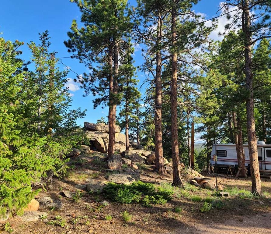 Alpine Lodge At Red Feather Lakes
