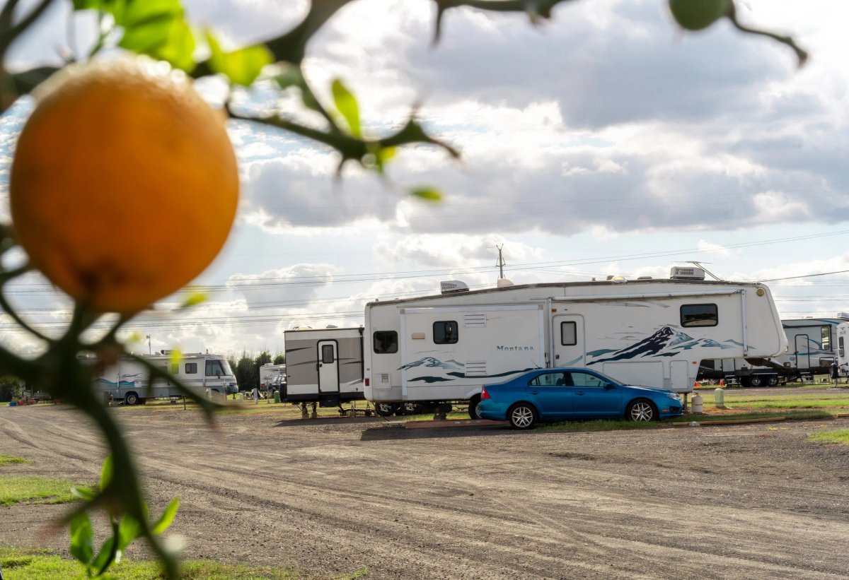 Riverbend RV Park (Richmond, Texas) photo