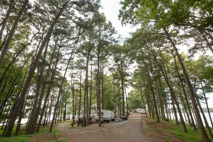Big Eagle Campground (Springville, Tennessee) photo