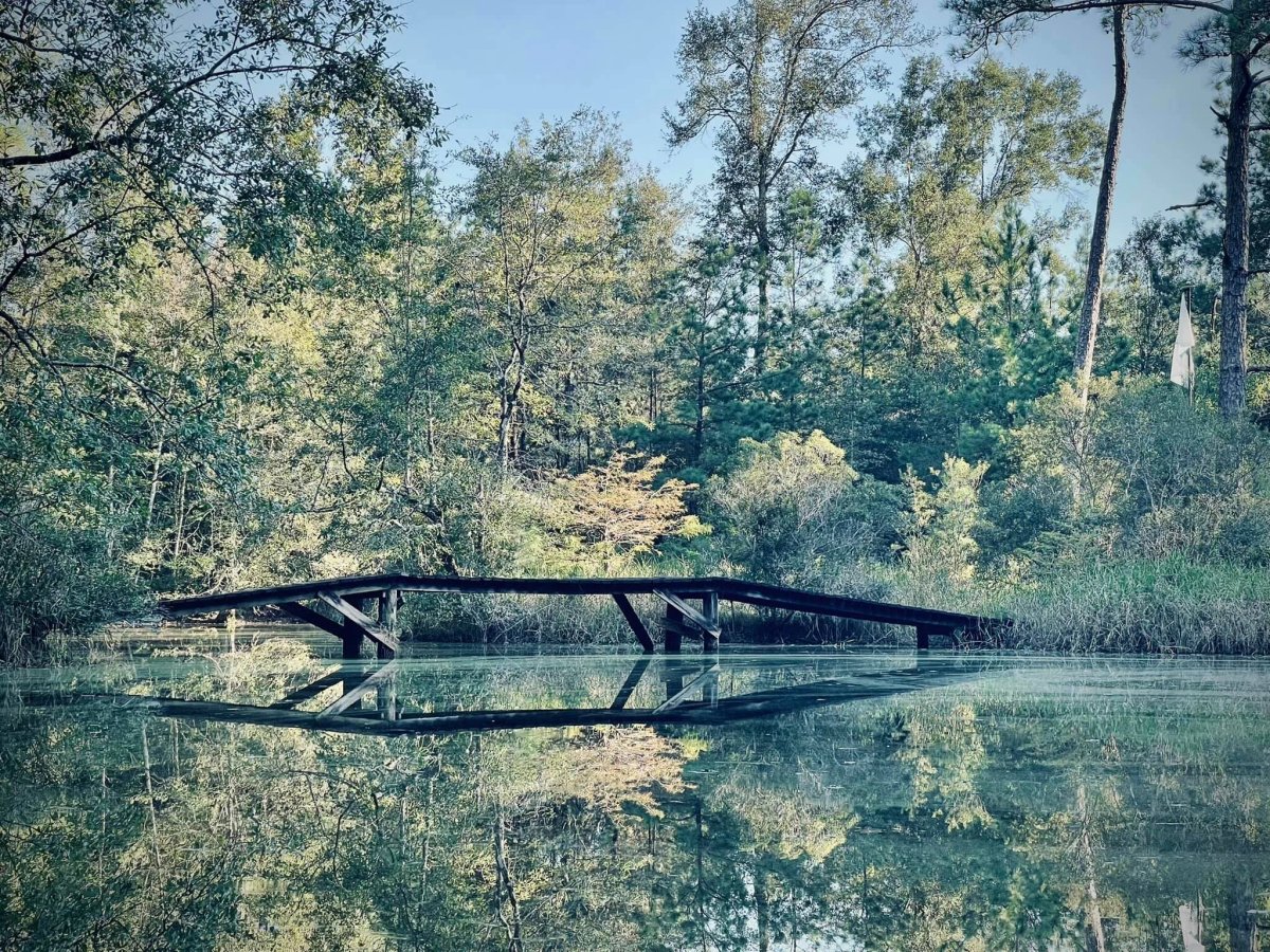 Kasko Farms (Warren, Texas) photo