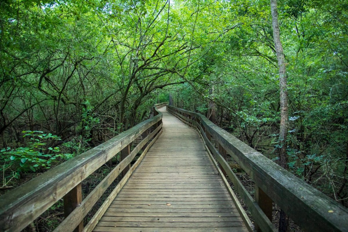 Hart Springs RV Campground (Bell, Florida) photo