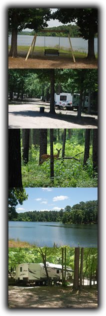Brushy Creek Campground