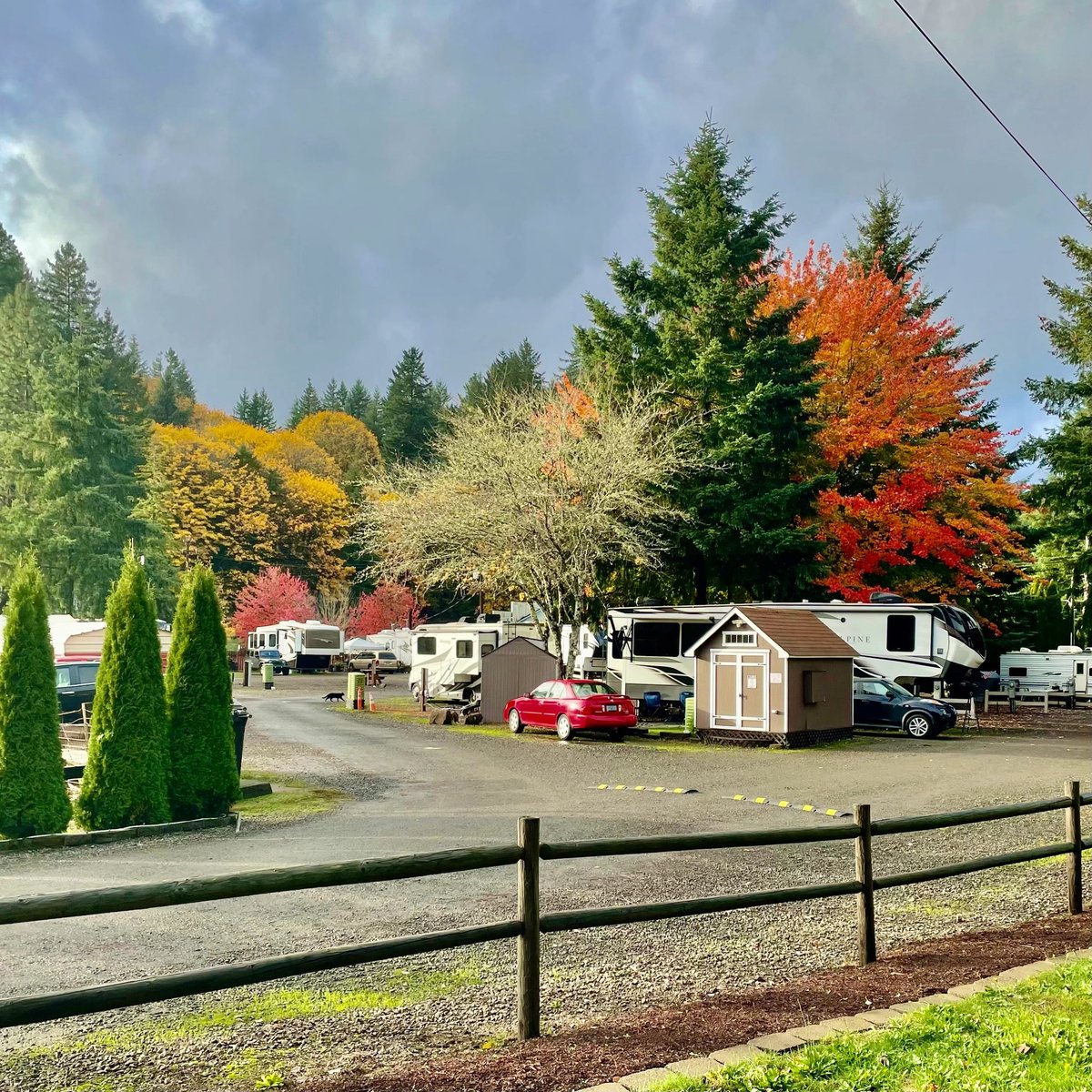 Maple Lane RV Park and Marina (Mapleton, Oregon) photo