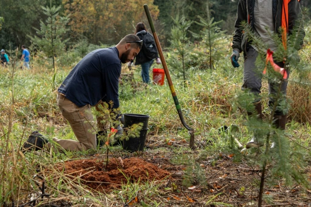 Cold Creek Campground