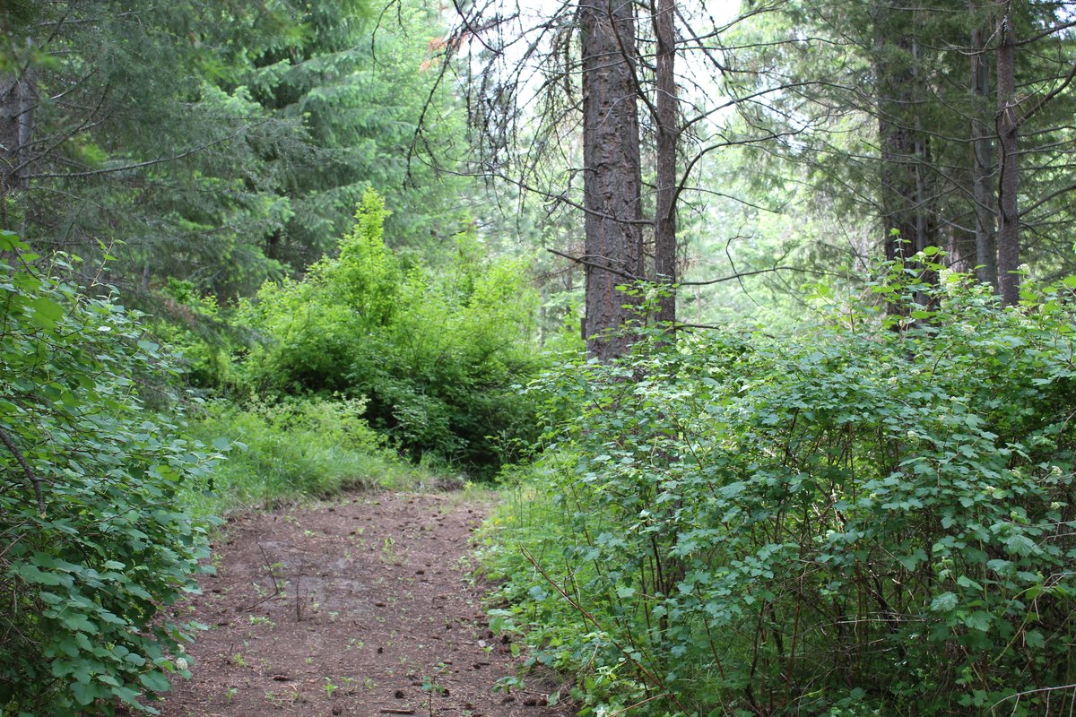 The Forge at Catherine Creek