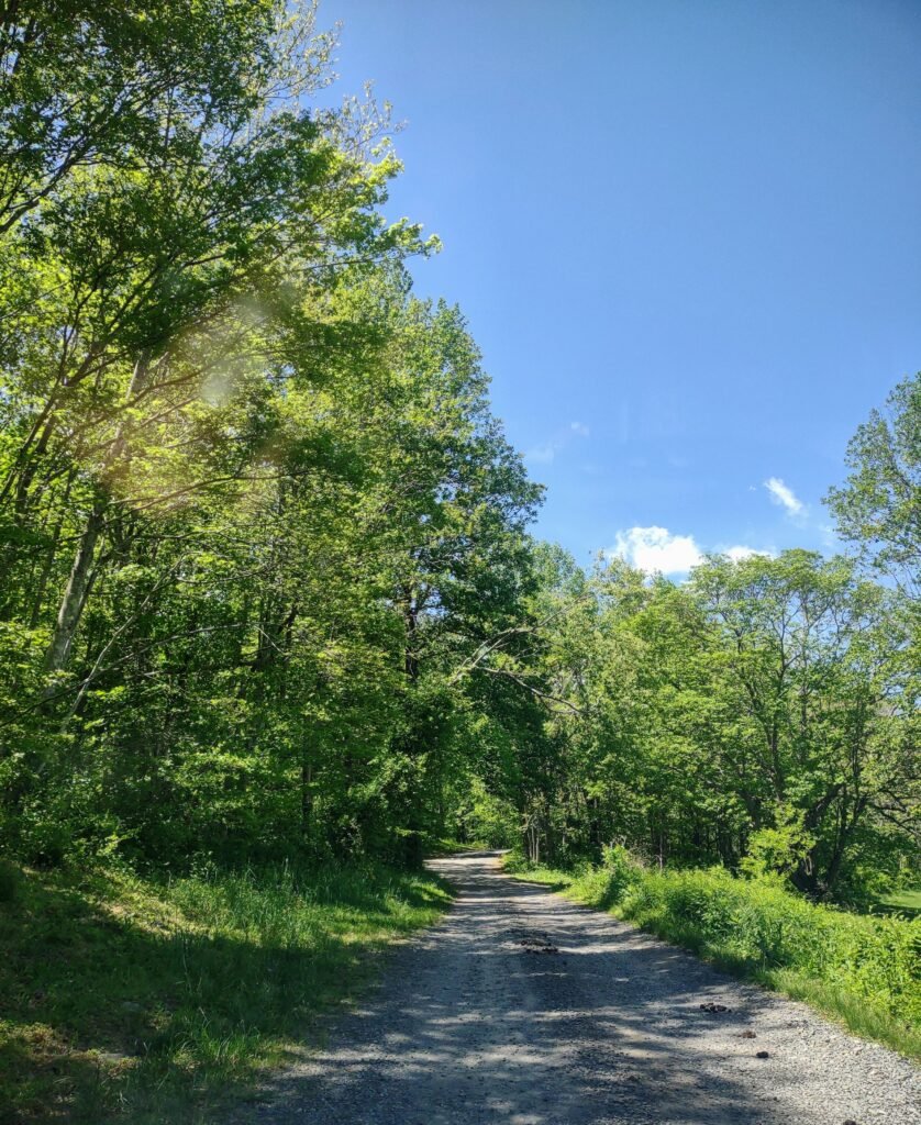 Graves Mountain Farm Campground
