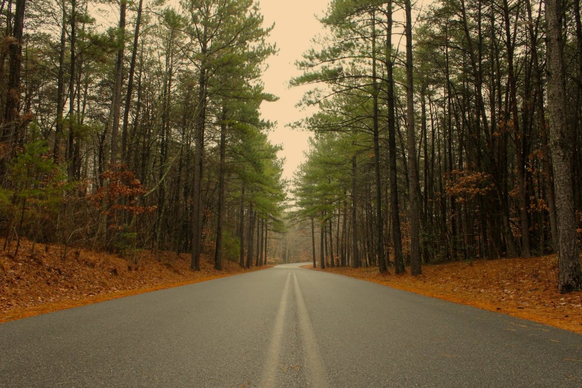 In The Pines RV & Cabin Village