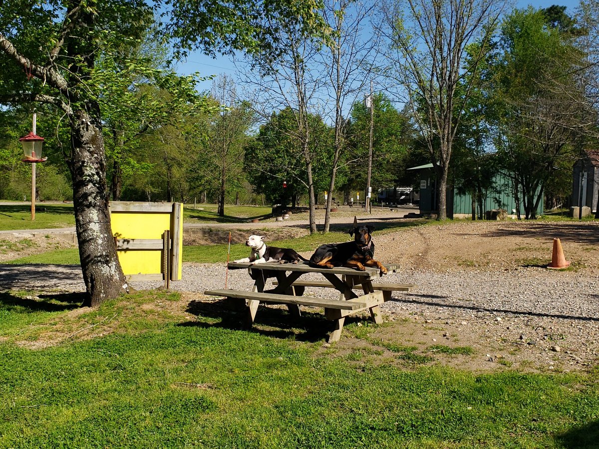 Wolfpen ATV Campground