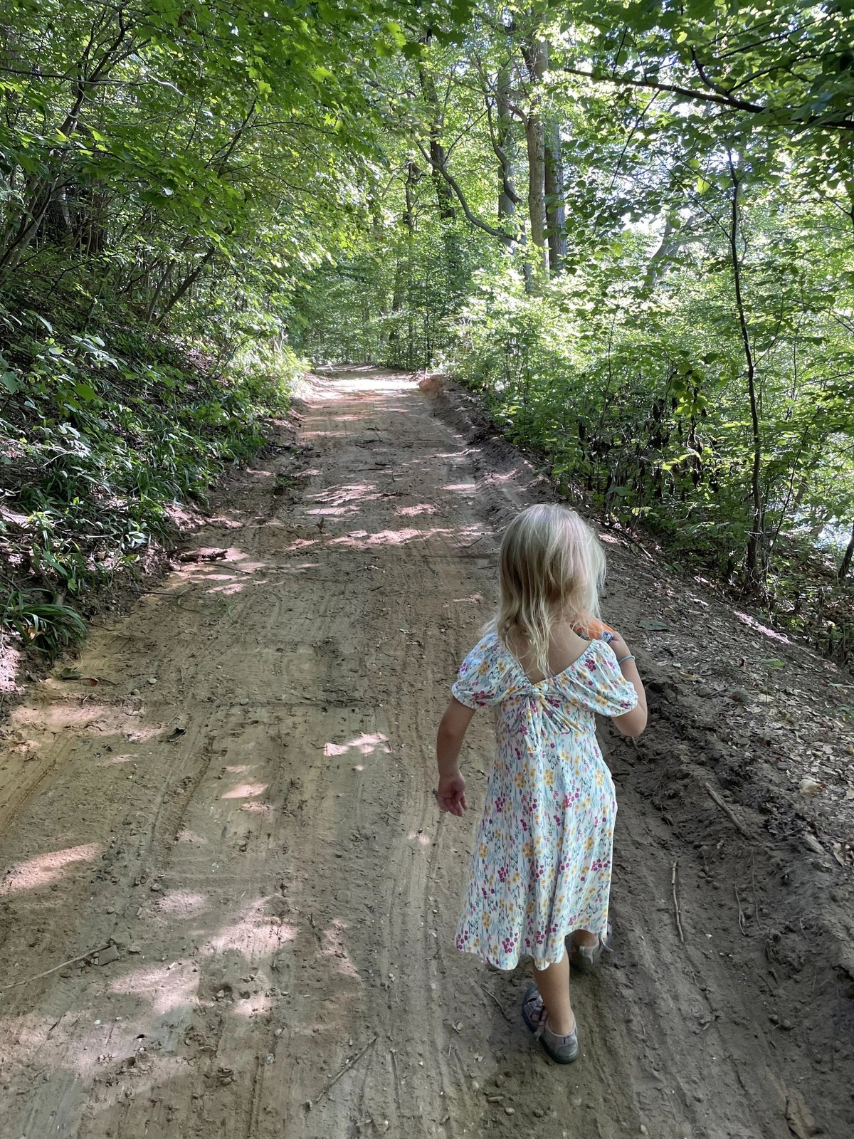 Forest Haven RV Park and Campground (Decatur, Michigan) photo