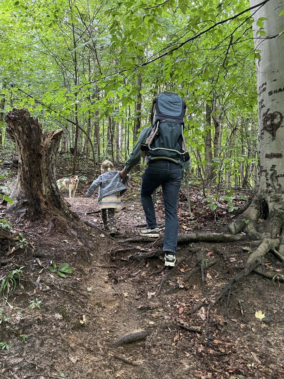 Forest Haven RV Park and Campground (Decatur, Michigan) photo