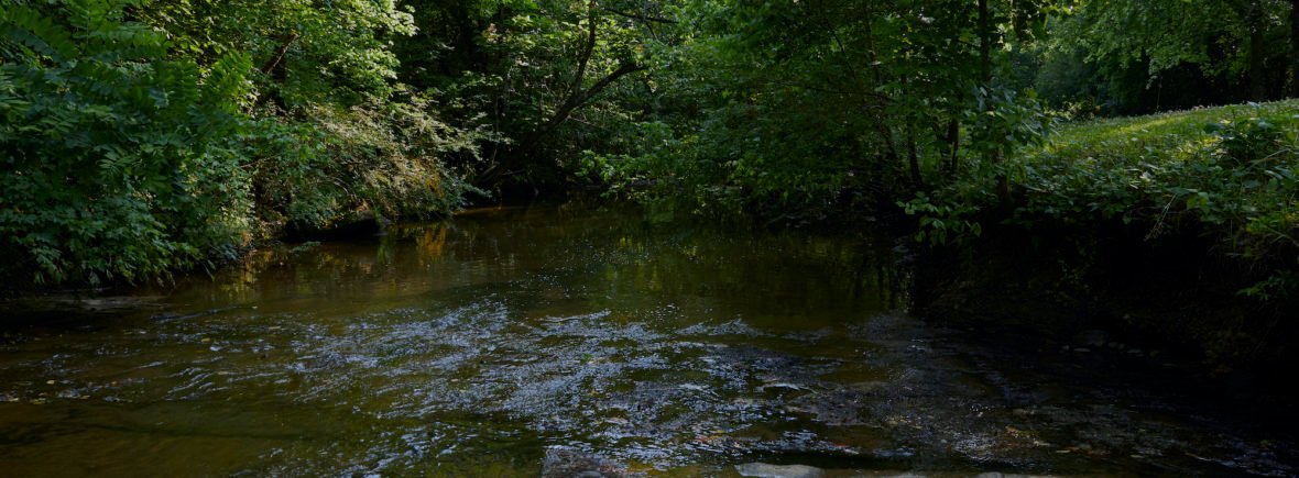 Stoney Creek Travel Park