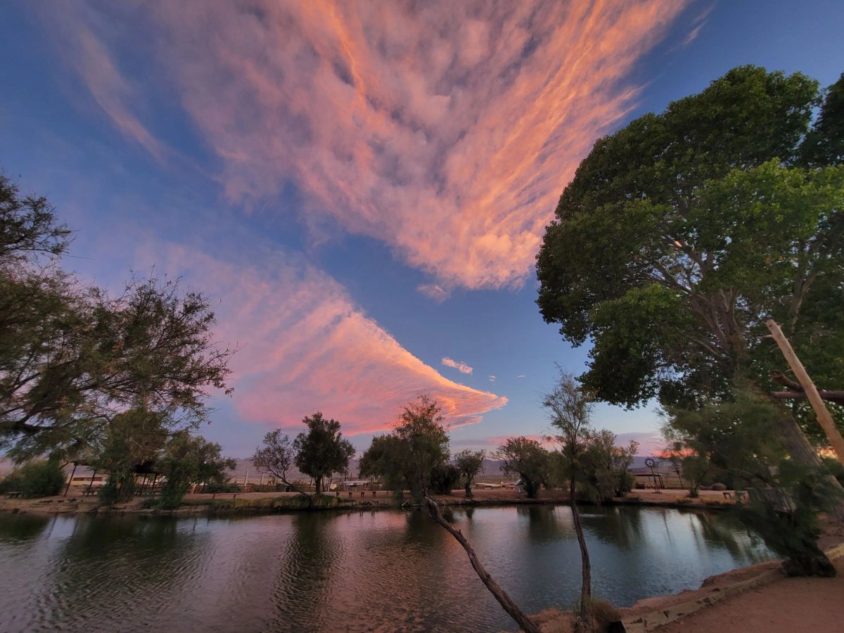 Joshua Tree Lake RV & Campground