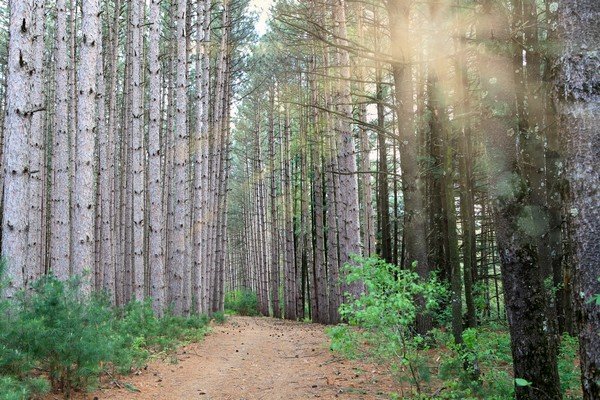 Leon Valley Campground