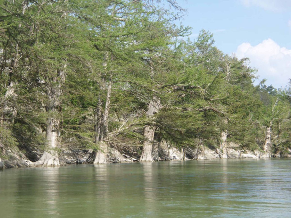 Bergheim Campground and River Outfitter (Boerne, Texas) photo