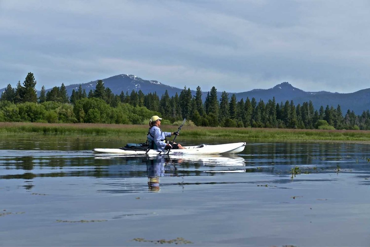 American House (La Porte, California) photo