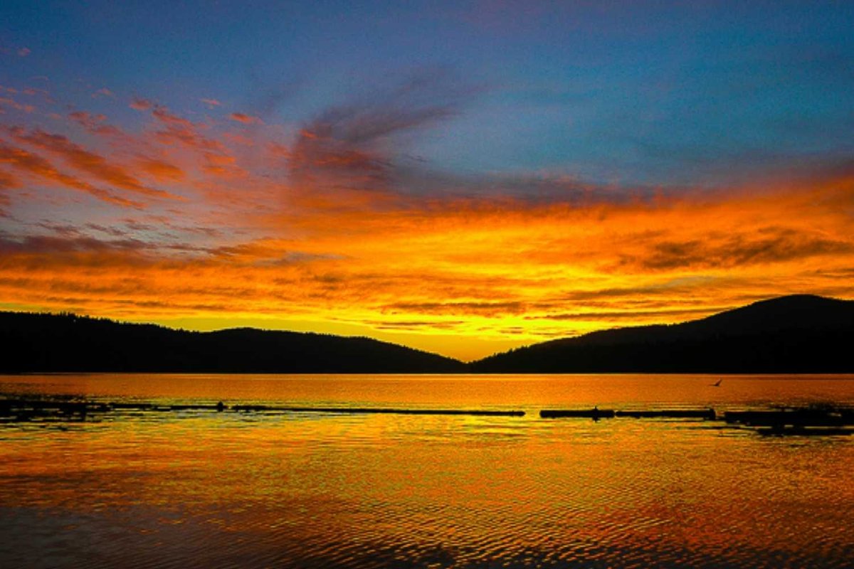 American House (La Porte, California) photo