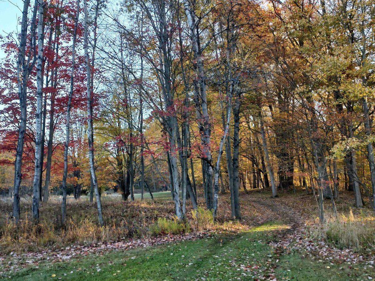 Plum Bottom Creek Campground's now Plum Good Campground